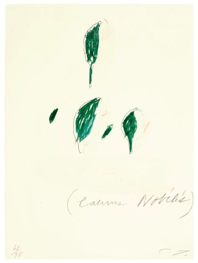 Natural History Part II,1975-76,The complete set of eight lithographs-4,grano-lithographs,and collotypes in colors,on Fabriano Bütten paper,75.9x56.3cm