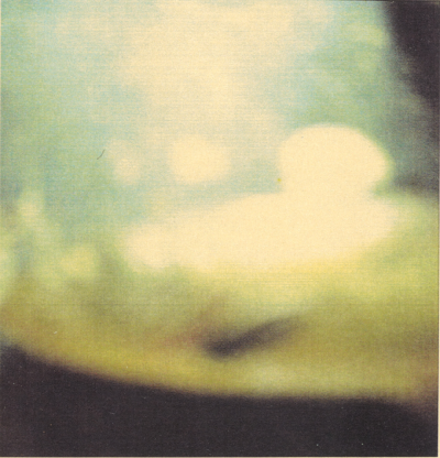 Fish,Negative 2004,print about2005,
Electrophotograph,17.5×16.8cm
