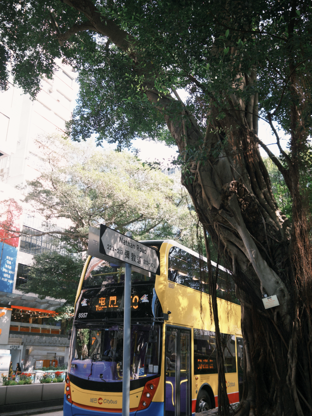 香港