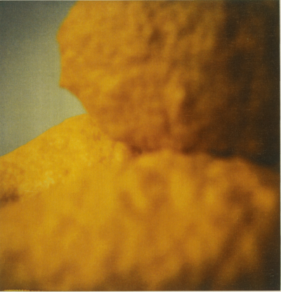 Lemons,Negative2005,print2009,
Electrophotograph,26.2×25.4cm
