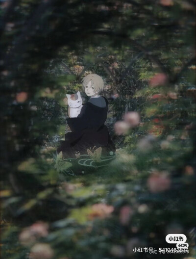 夏目友人帐 壁纸