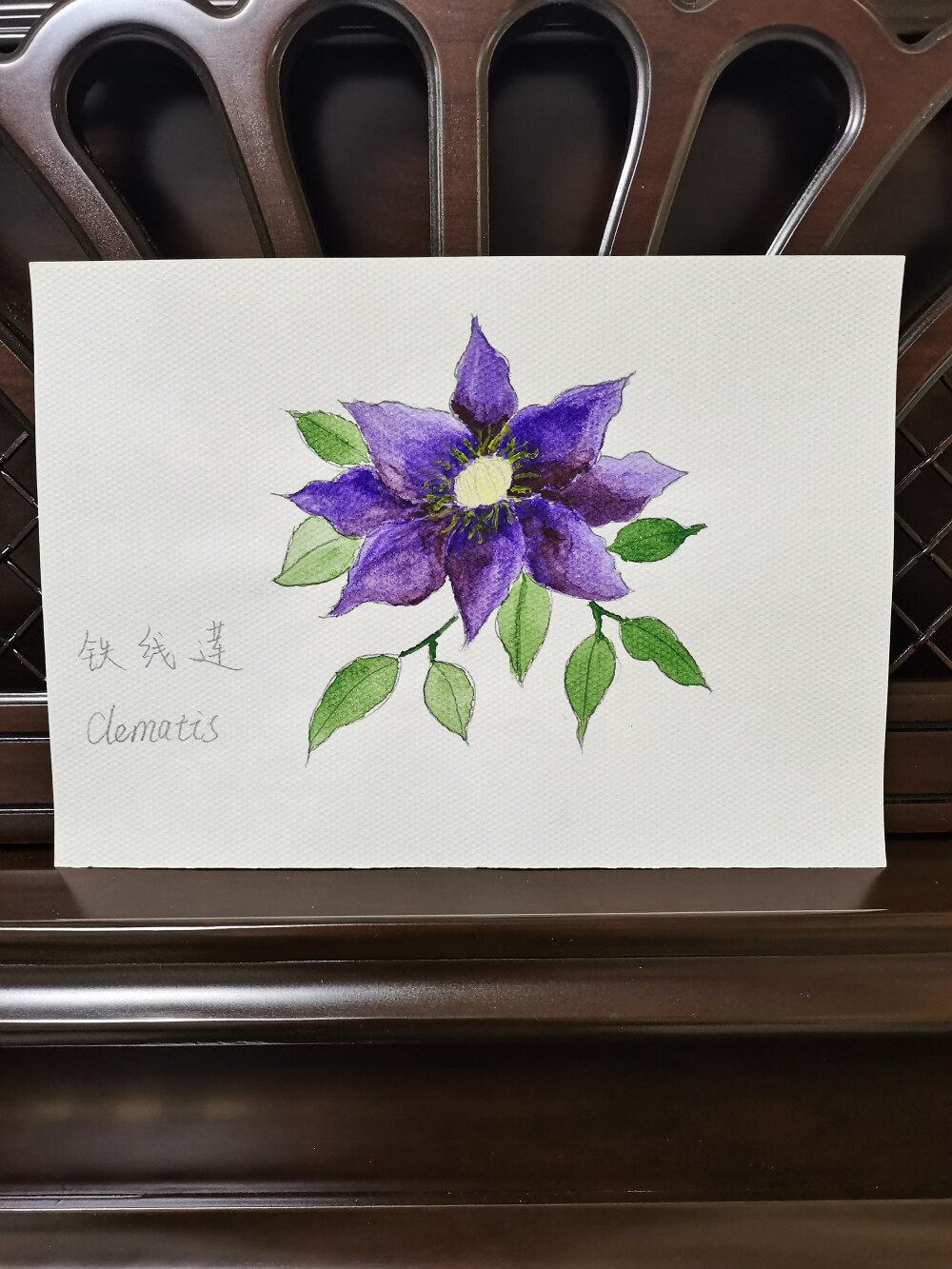 33 铁线莲（绘画 | 水彩 | 果花甘01）
2018.02
妖艳的紫色，很罕见。因为是临摹，多少都有点不真实。
妖里妖气但美艳，总让人联想到有野心有手段的女孩子，看着瘦弱苗条，但脑子动得快，执行力也极强，能靠脸吃饭但又练出一身硬本事，一门心思做事业，从不在小事上纠结。
深浓的花色，身上像是有股不服输的劲儿。敢爱敢恨，旁人莫想打倒她。