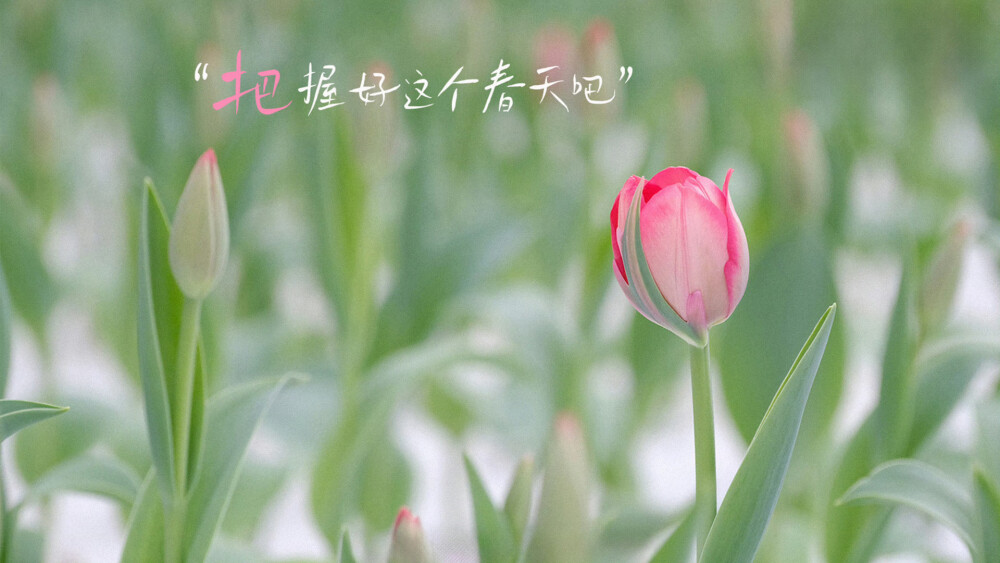 十个勤天