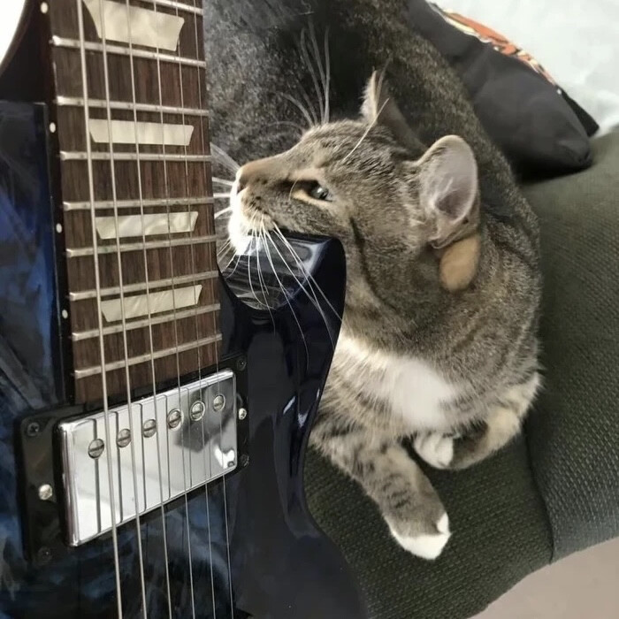 田曦薇套图可二改