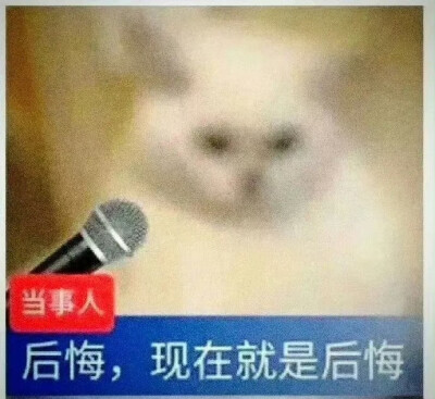 表情包·图源微博