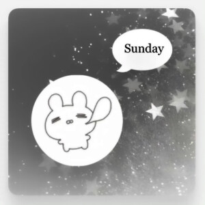 Jisoo金智秀