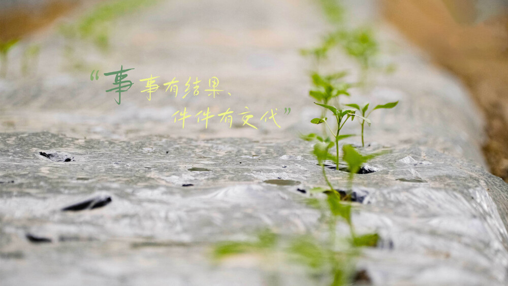 十个勤天