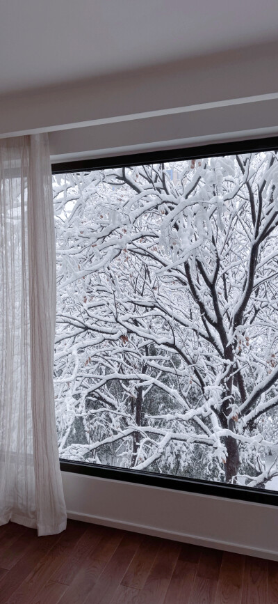 冬日雪景壁纸