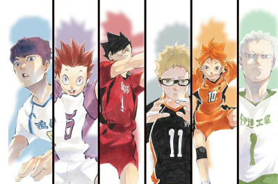 排球少年官图