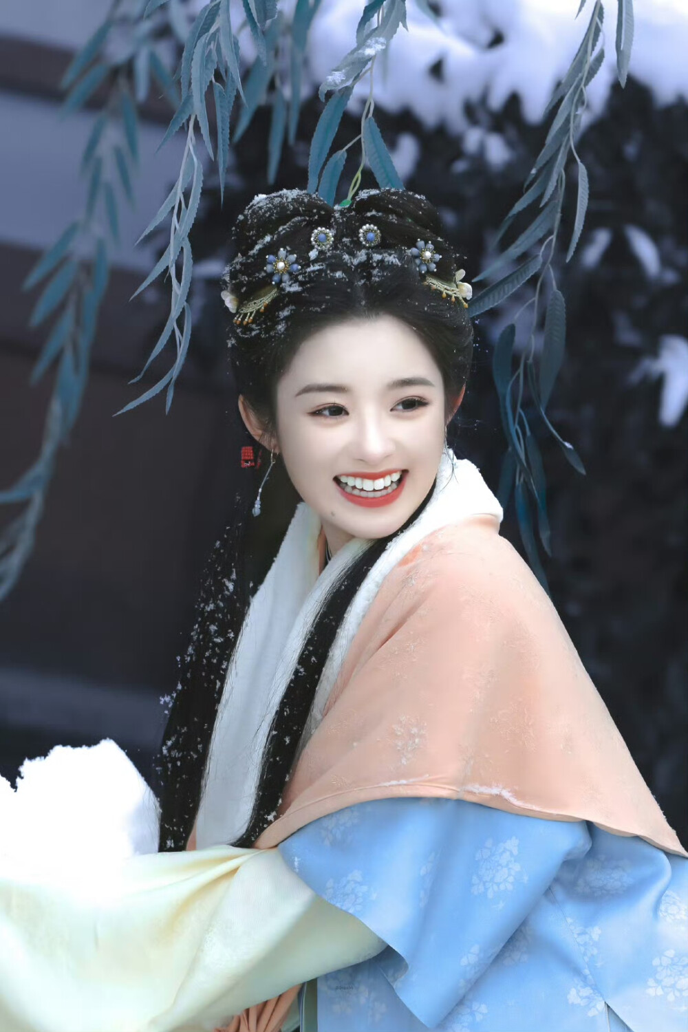 黄杨钿甜