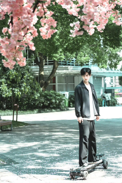  张凌赫 / 爱你·何苏叶 