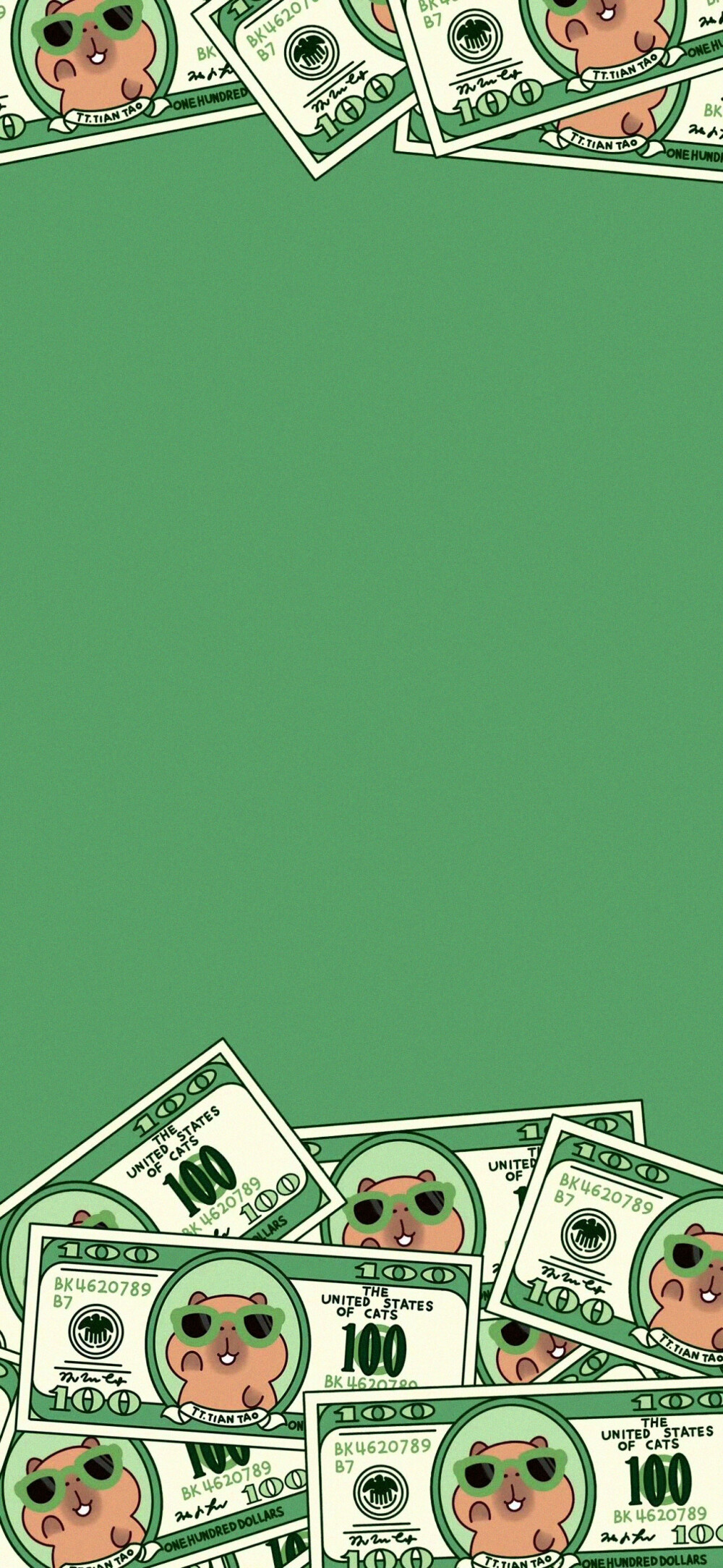 卡皮巴拉
