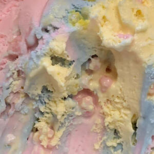 奶树暖羊：萌物quq