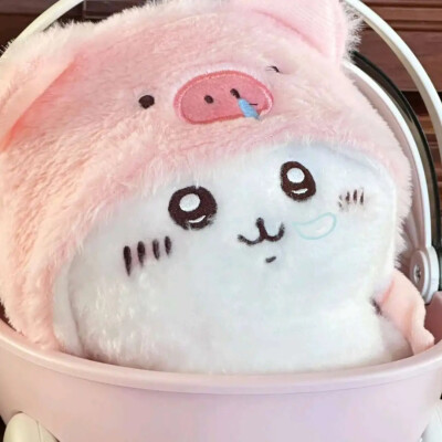 吉伊宝宝