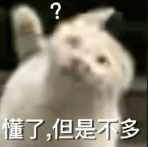 猫猫表情包