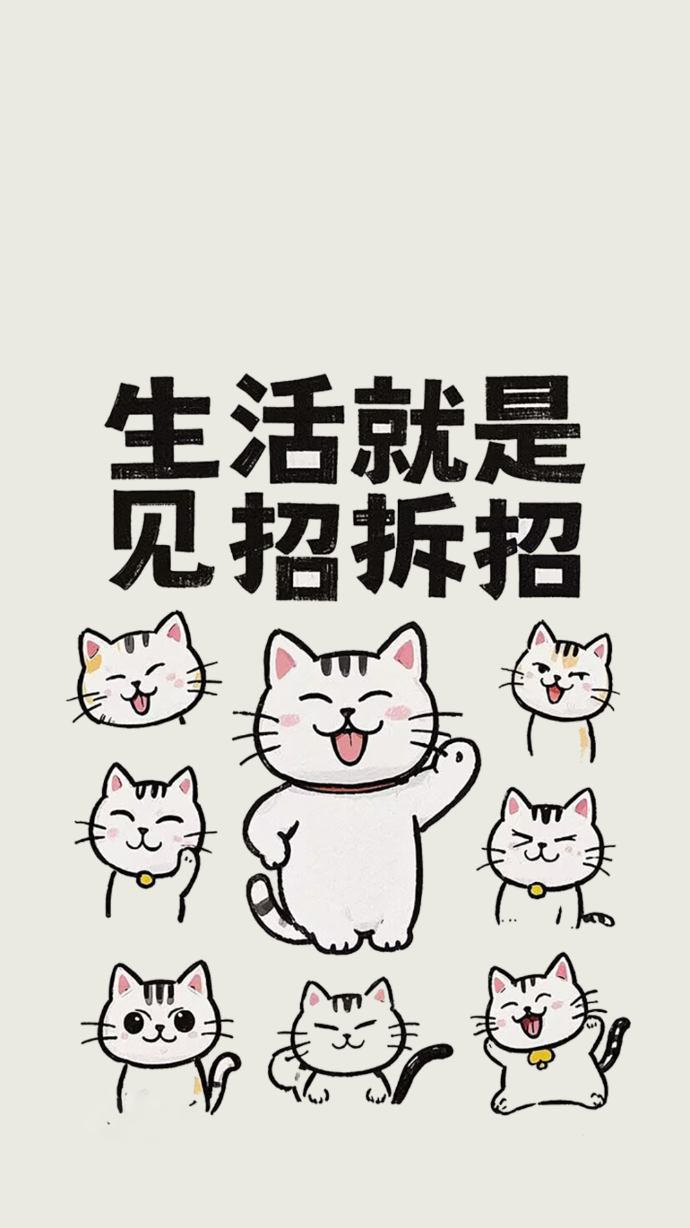 猫咪