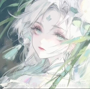 阑珊灯花一缀
(古风风格女头像)