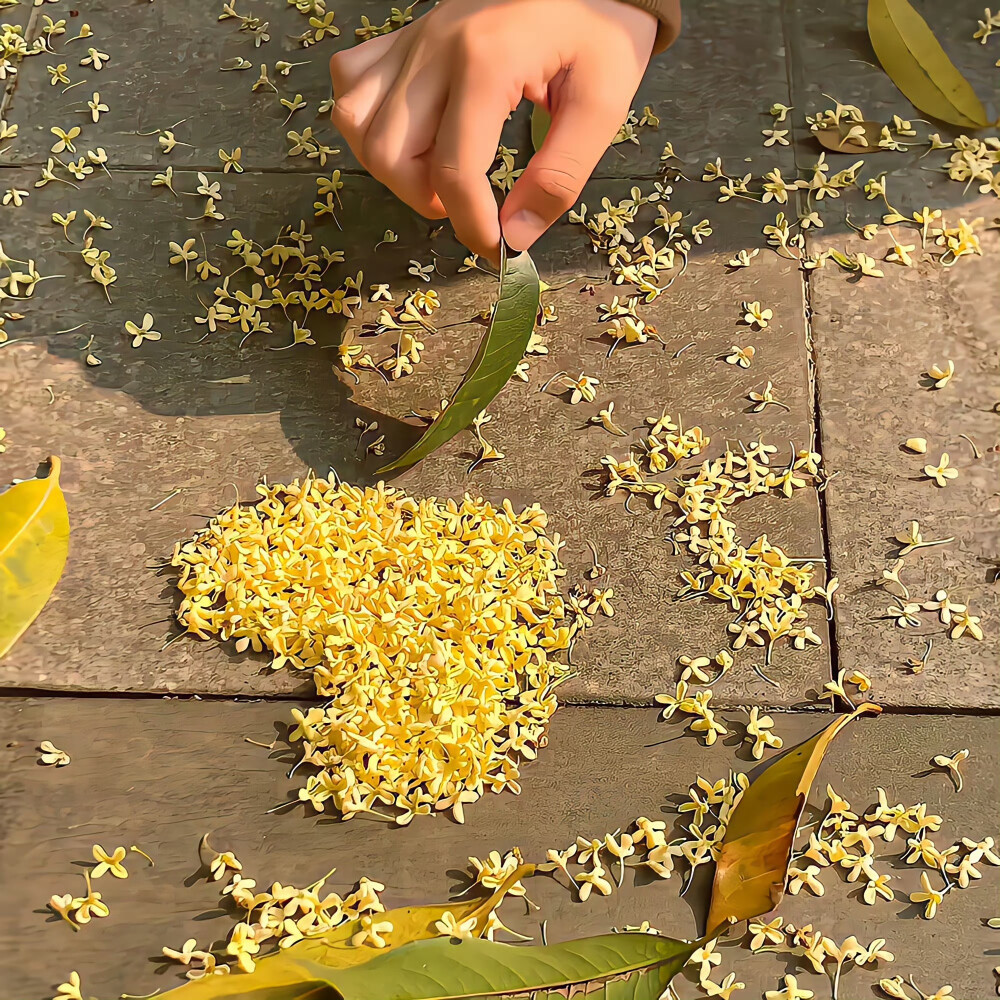 背景图｜一起享受别处的美好