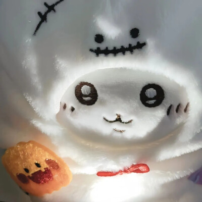 吉伊宝宝