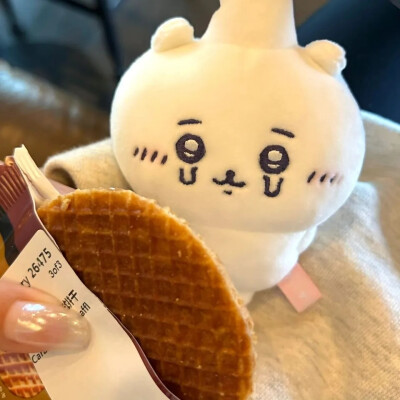 吉伊宝宝