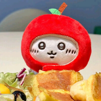 吉伊宝宝