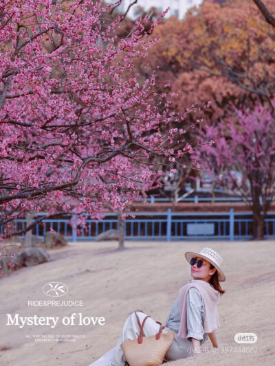 和花花拍照