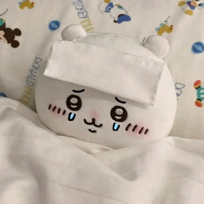 吉伊宝宝