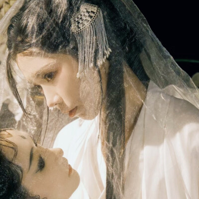 冰凉舌信 吻你眉上痂