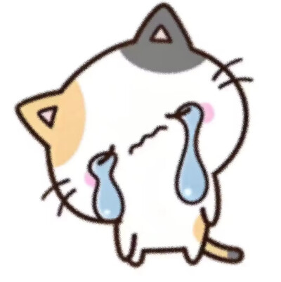 今天心情好 原谅全世界.^⌯⌯^ ੭