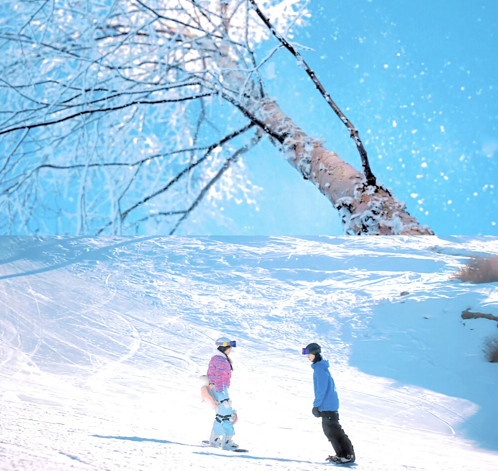 卫枝单崇/虞书欣 × 林一
#嘘国王在冬眠 雪偶#
#嘘国王在冬眠定档# ​