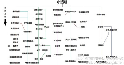 二次元职业变迁