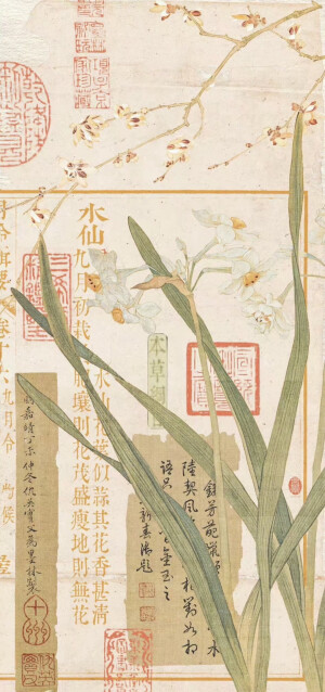 背景