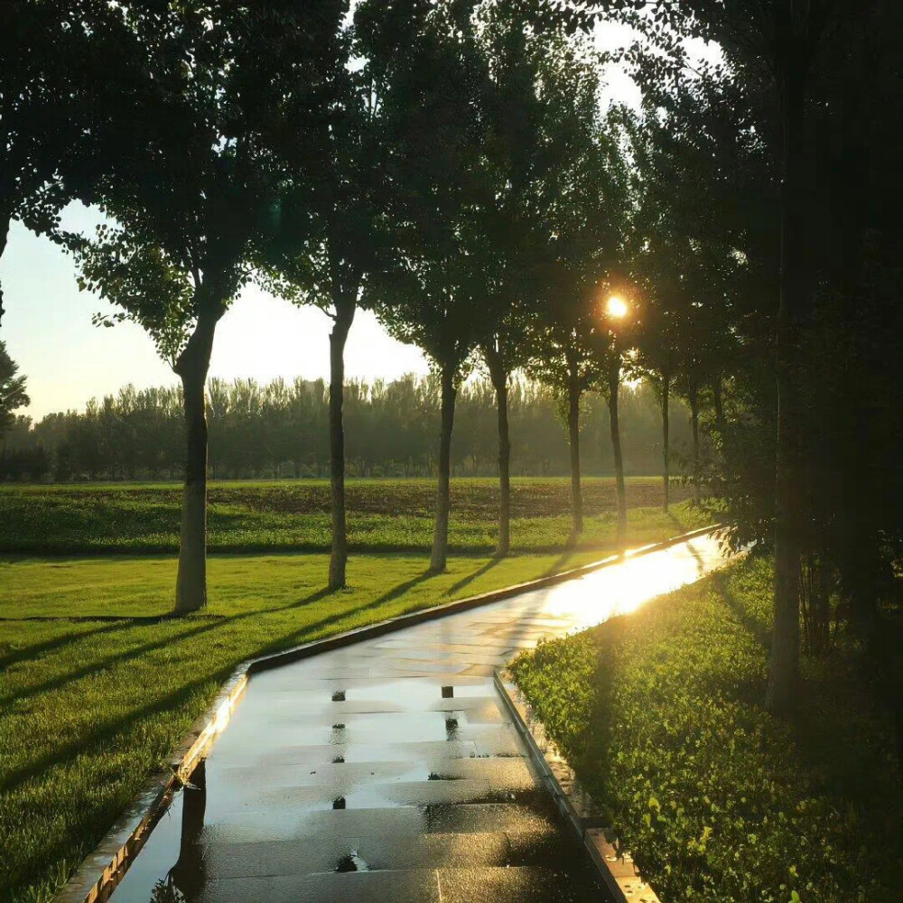 背景