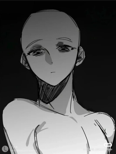 模板