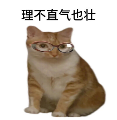 猫猫 表情包