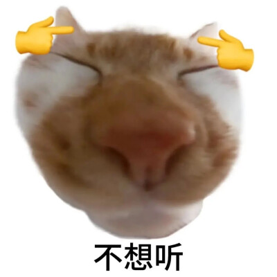 猫猫 表情包