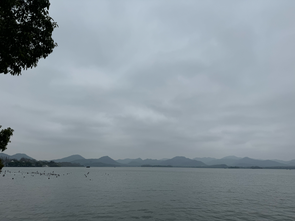 西湖99