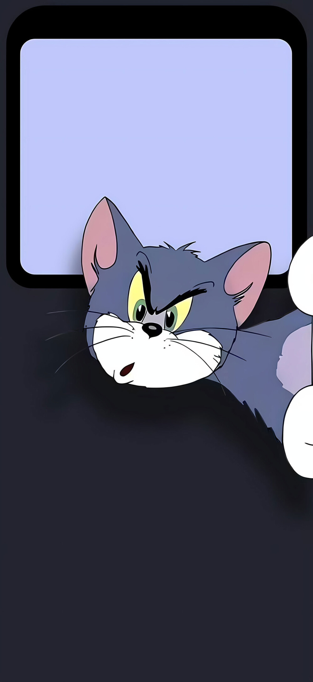 Tom&Jerry