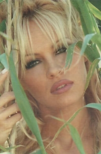 Pamela Anderson