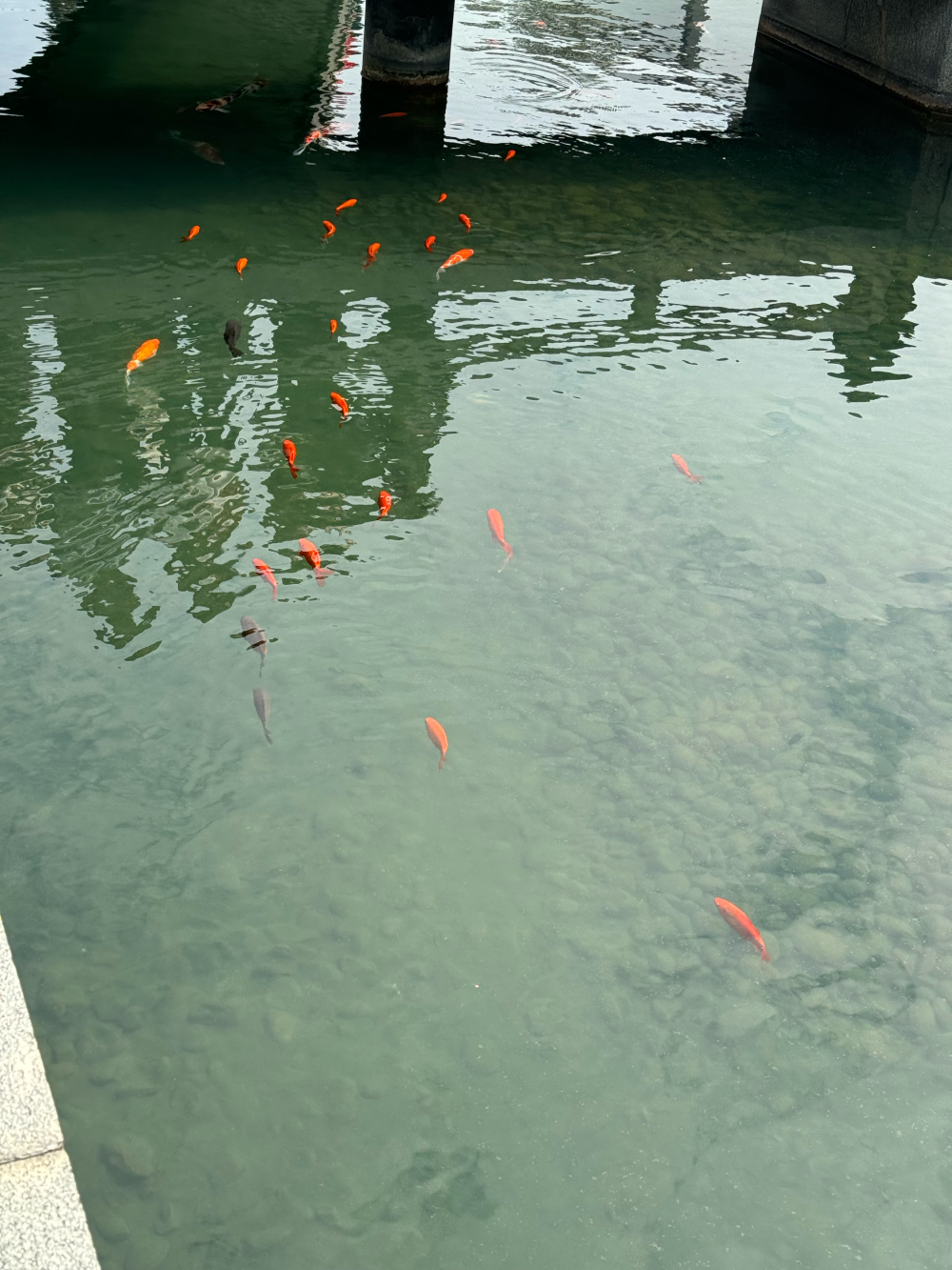博物馆