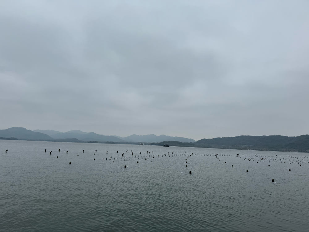 西湖97