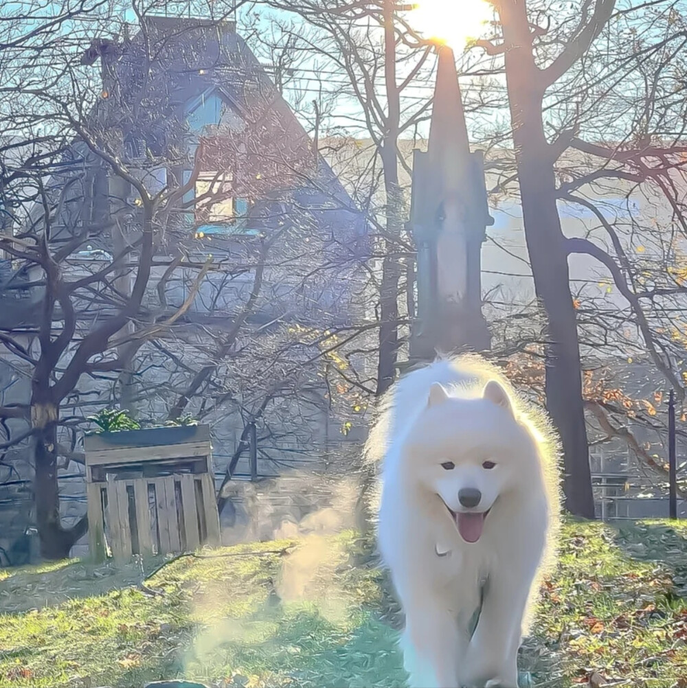 治愈系背景图