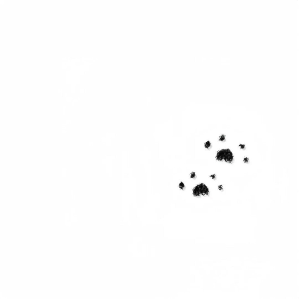 黑白背景图