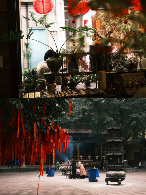 我想我大概比你更期待春天吧 ​

摄影@陳事物語