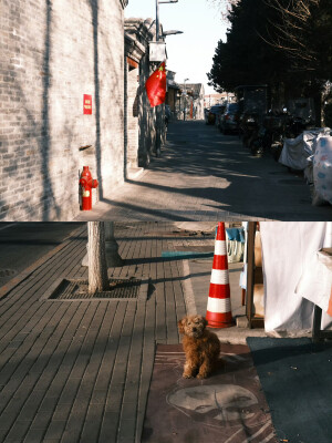 我想我大概比你更期待春天吧 ​

摄影@陳事物語