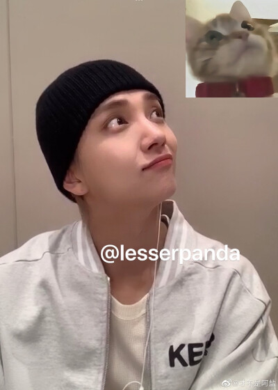 洪知秀 咻咻 svt