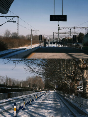 我想我大概比你更期待春天吧 ​

摄影@陳事物語