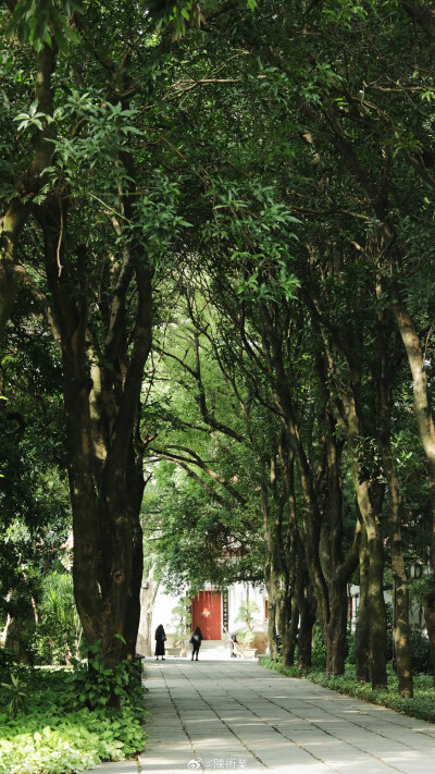 在路上 看十二月的綠 ​​​
摄影@陳術業