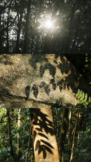 在路上 看十二月的綠 ​​​

摄影@陳術業