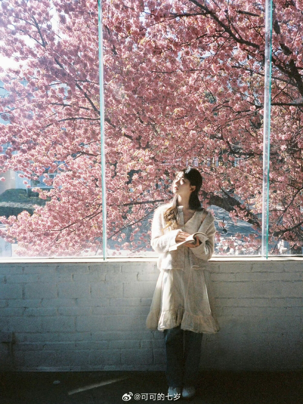 想把春天寄给你 ​
摄影:@可可的七岁 ​